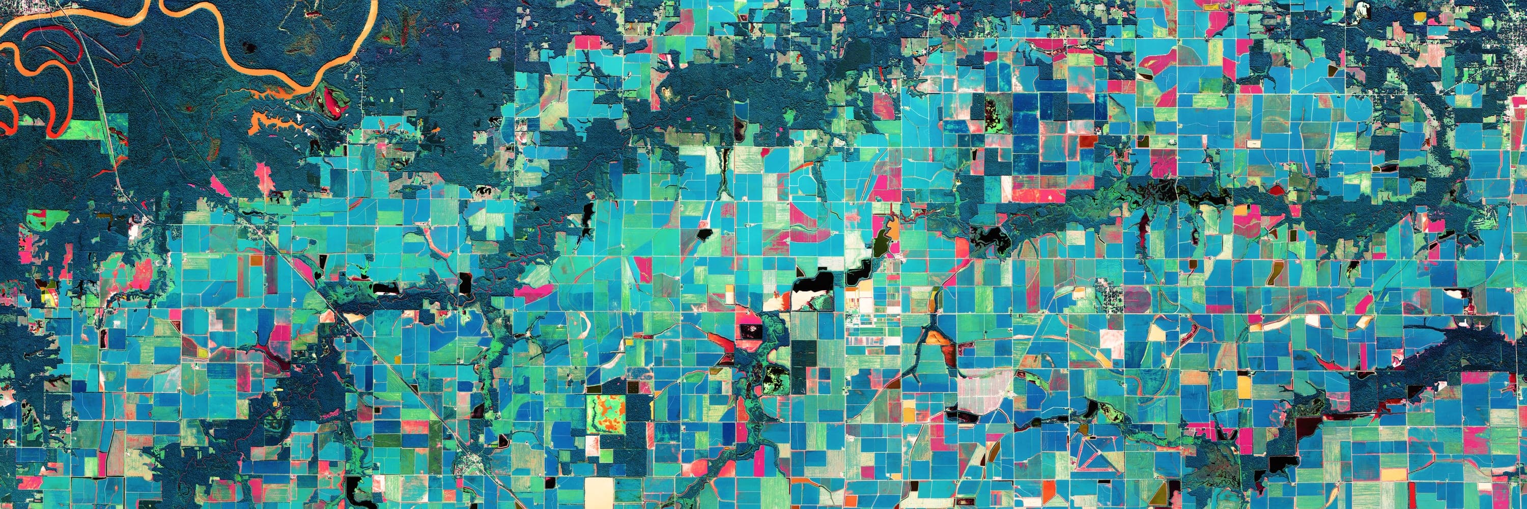 Arkansas Rice Fields — color infrared survey composite
