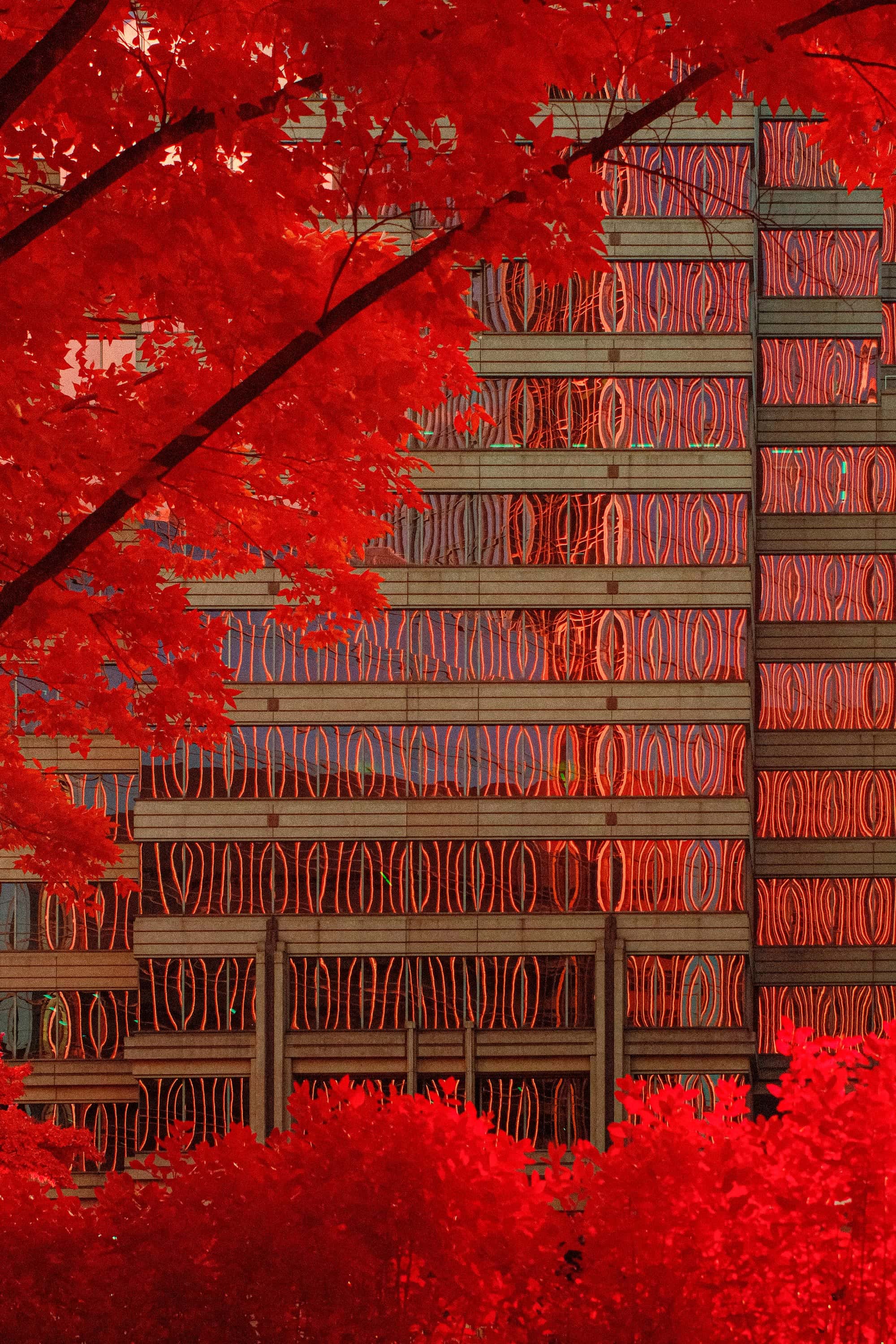 Mirrored glass and horizontal concrete bands on an Atlanta office facade, seen through overhanging branches, photographed in near-infrared light.
