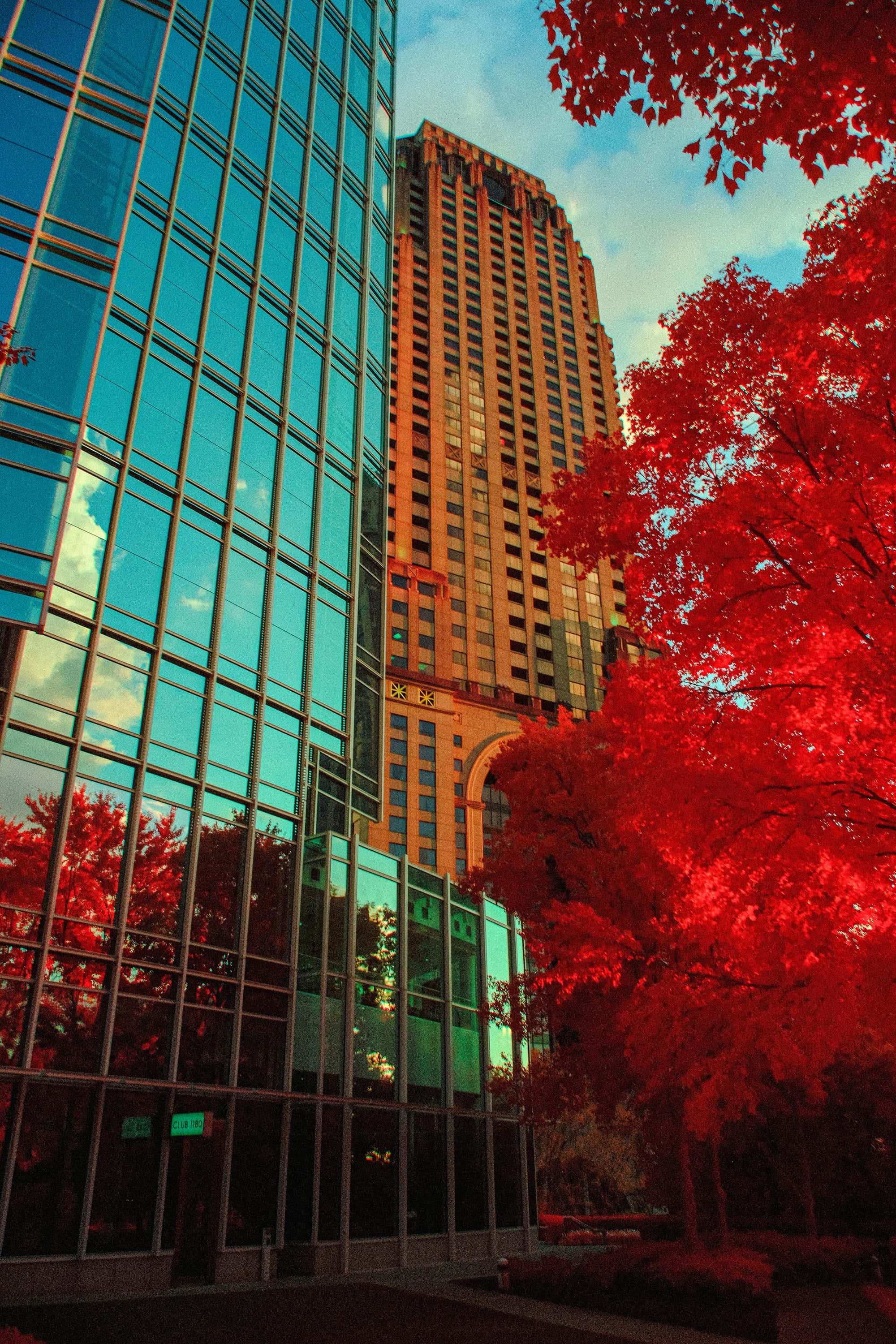 The glass wall of 1180 Peachtree in Midtown Atlanta, with a stone tower rising behind it, photographed in near-infrared light.