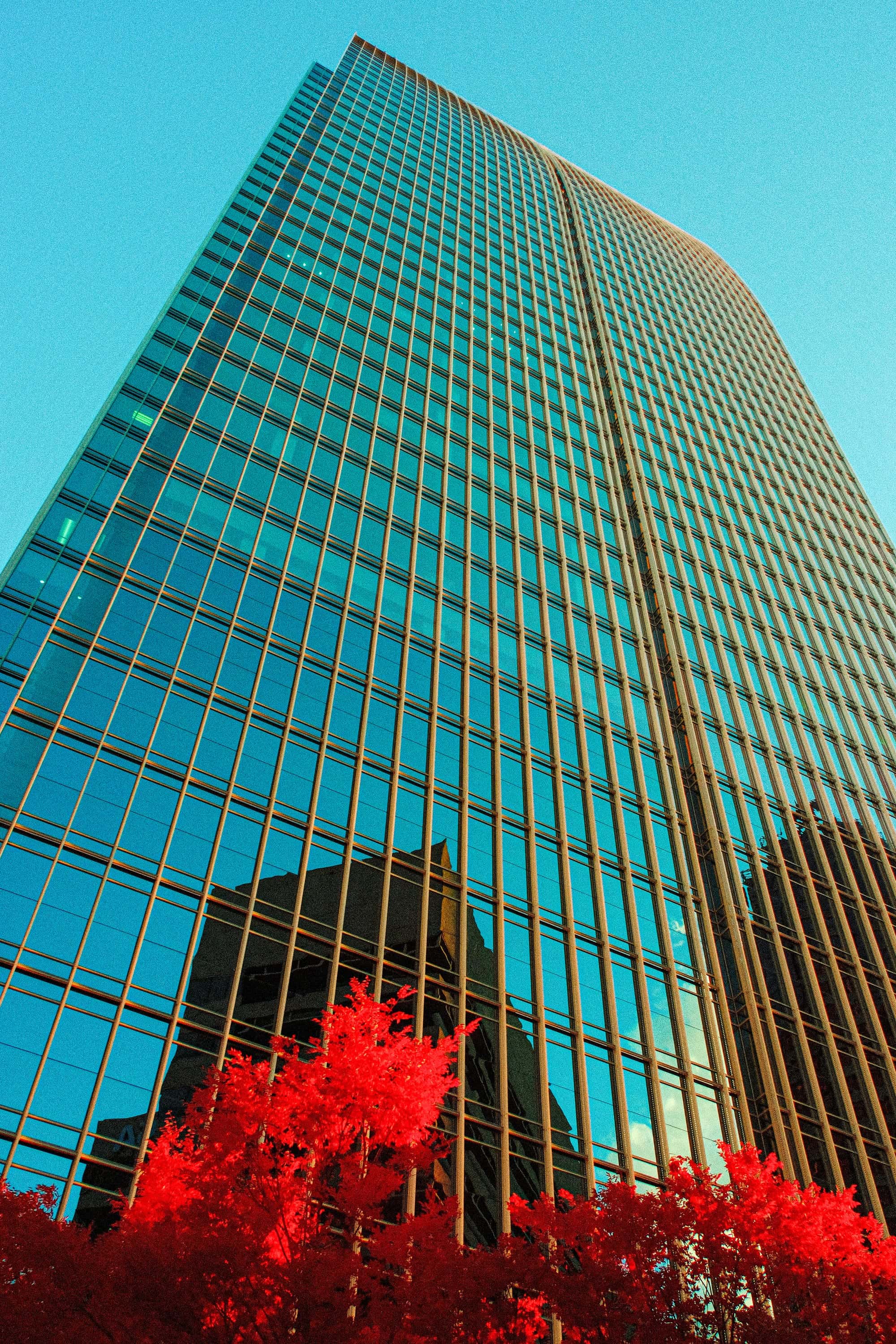 A bronze-mullioned glass office tower in Atlanta seen from its base, with small trees along the bottom edge, photographed in near-infrared light.
