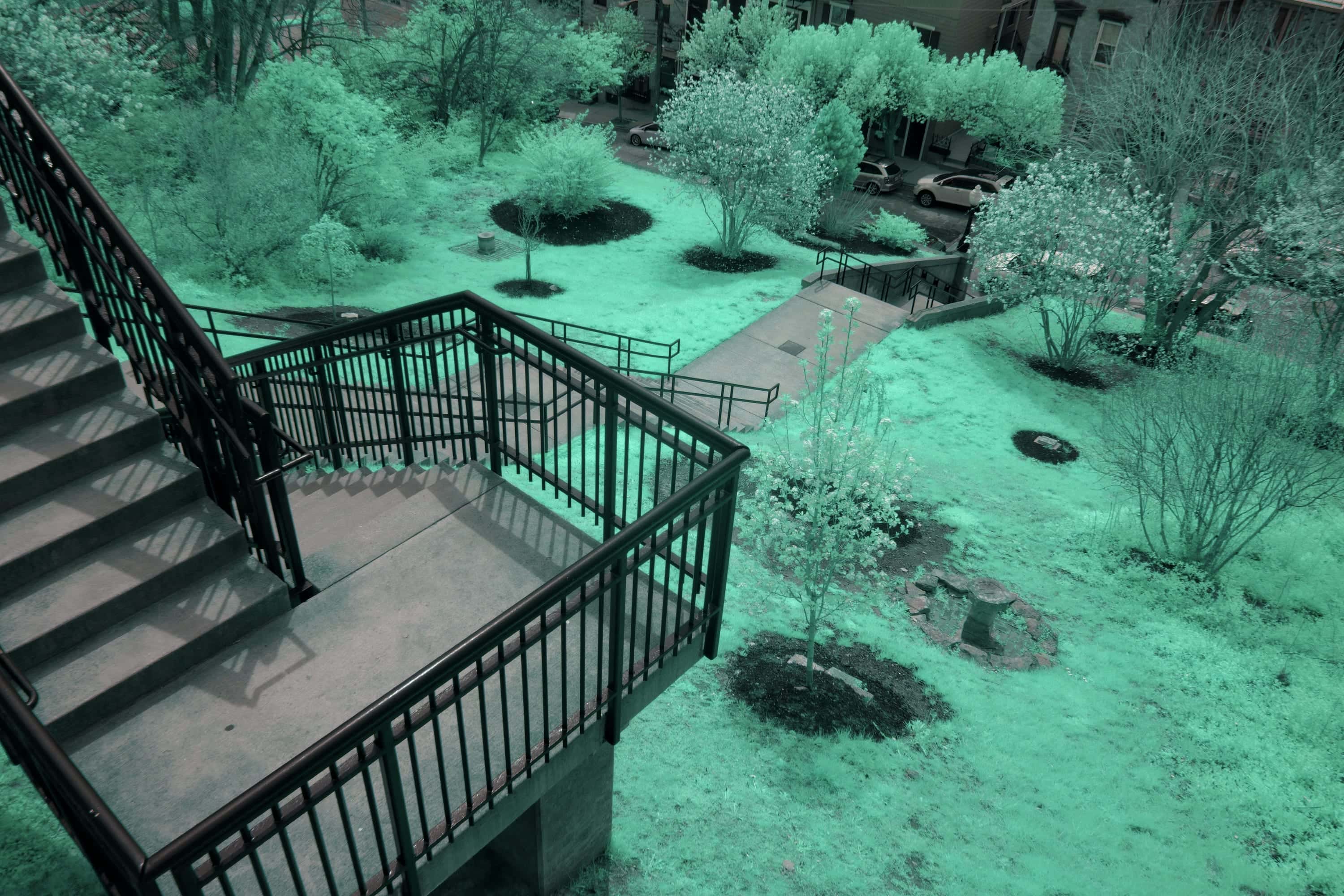 A metal-railed stairway looking down over a landscaped courtyard and its young trees in Cincinnati, photographed in near-infrared light.
