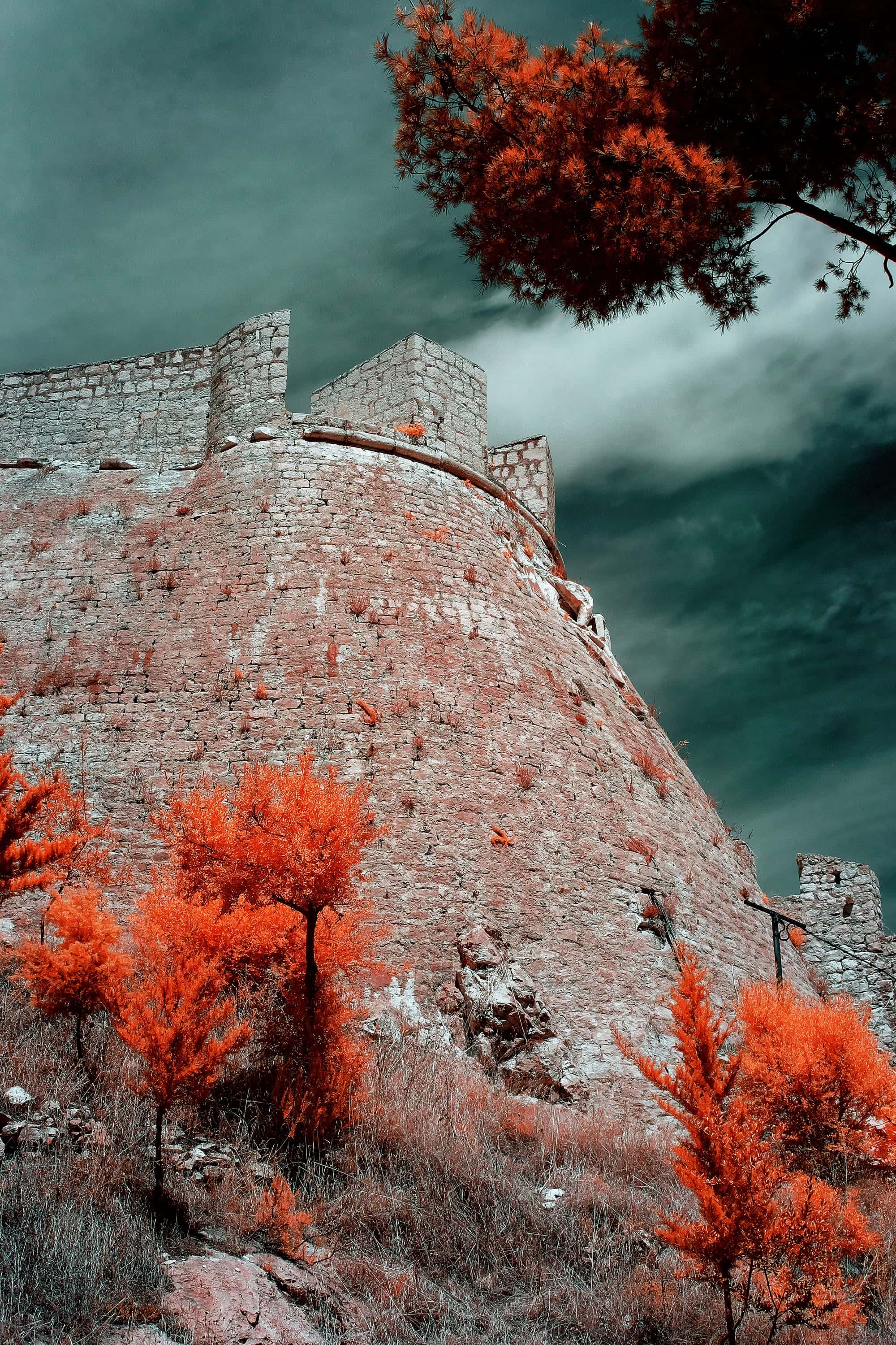 The round bastion and battlements of the hilltop fortress above Hvar Town, seen from the scrub slope below, photographed in near-infrared light.