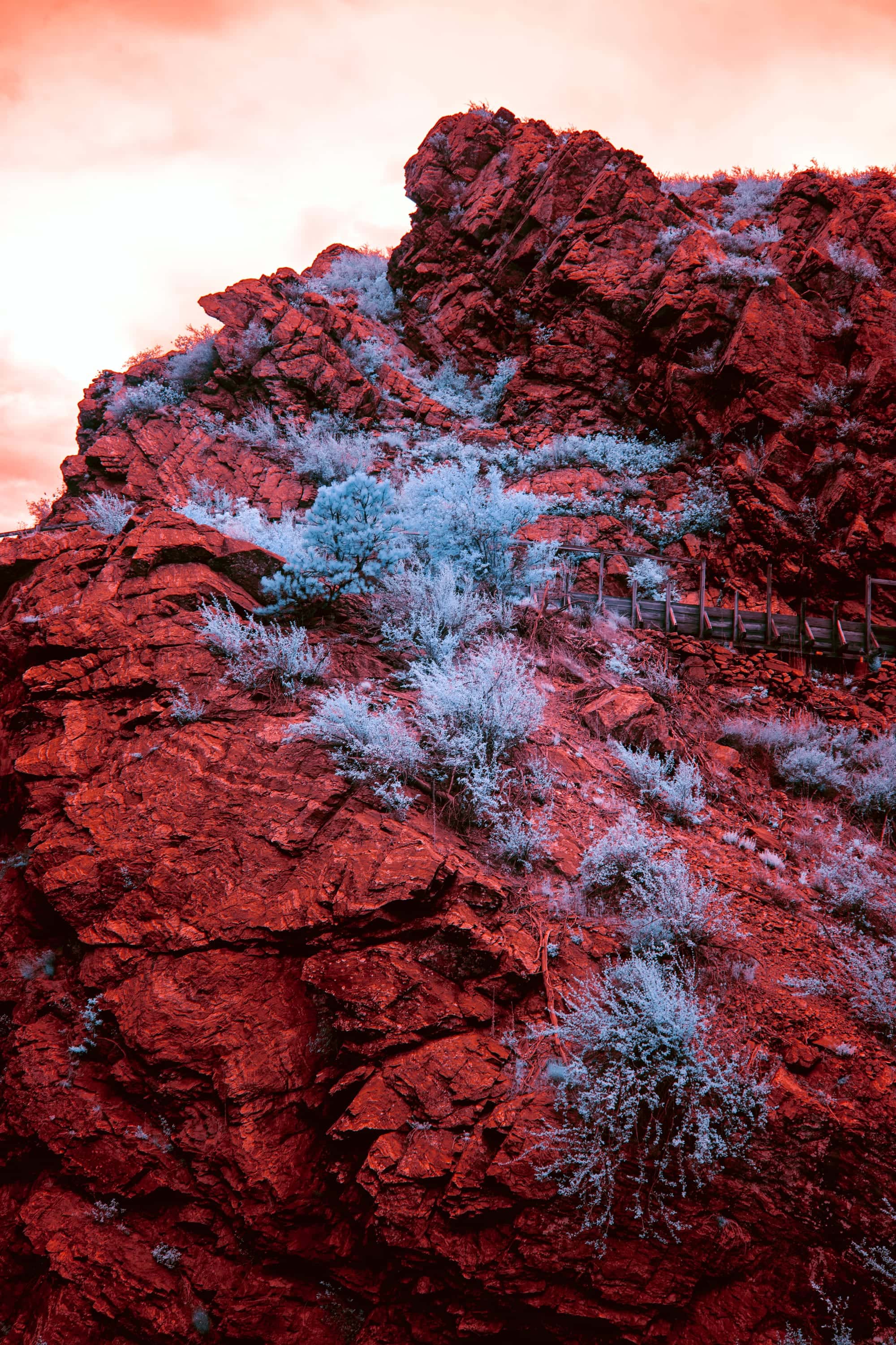 A fractured red cliff face with a highway guardrail crossing near its top, in a canyon west of Denver, photographed in near-infrared light.