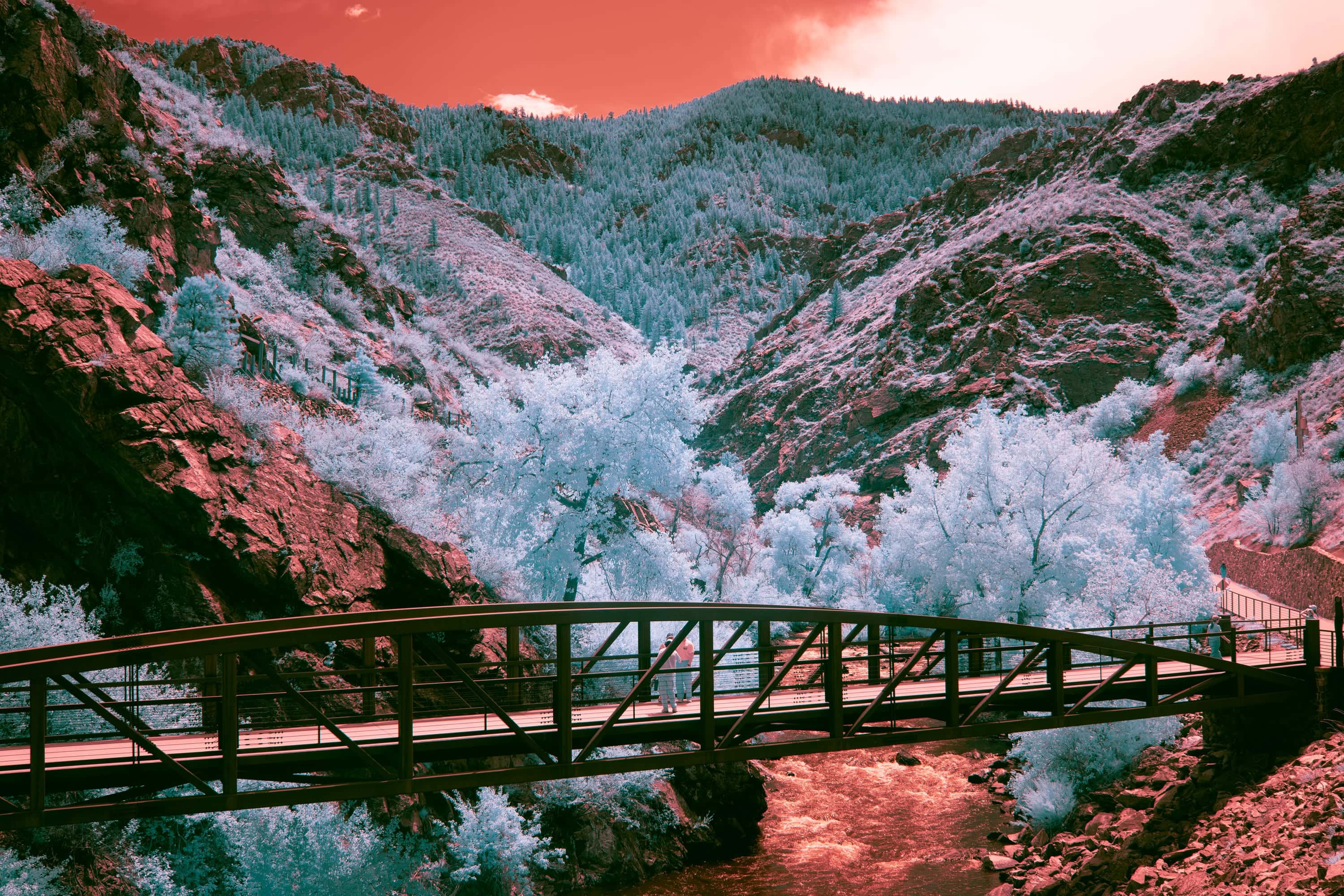 Two people on a steel footbridge over a creek, in a canyon of pine-covered slopes west of Denver, photographed in near-infrared light.