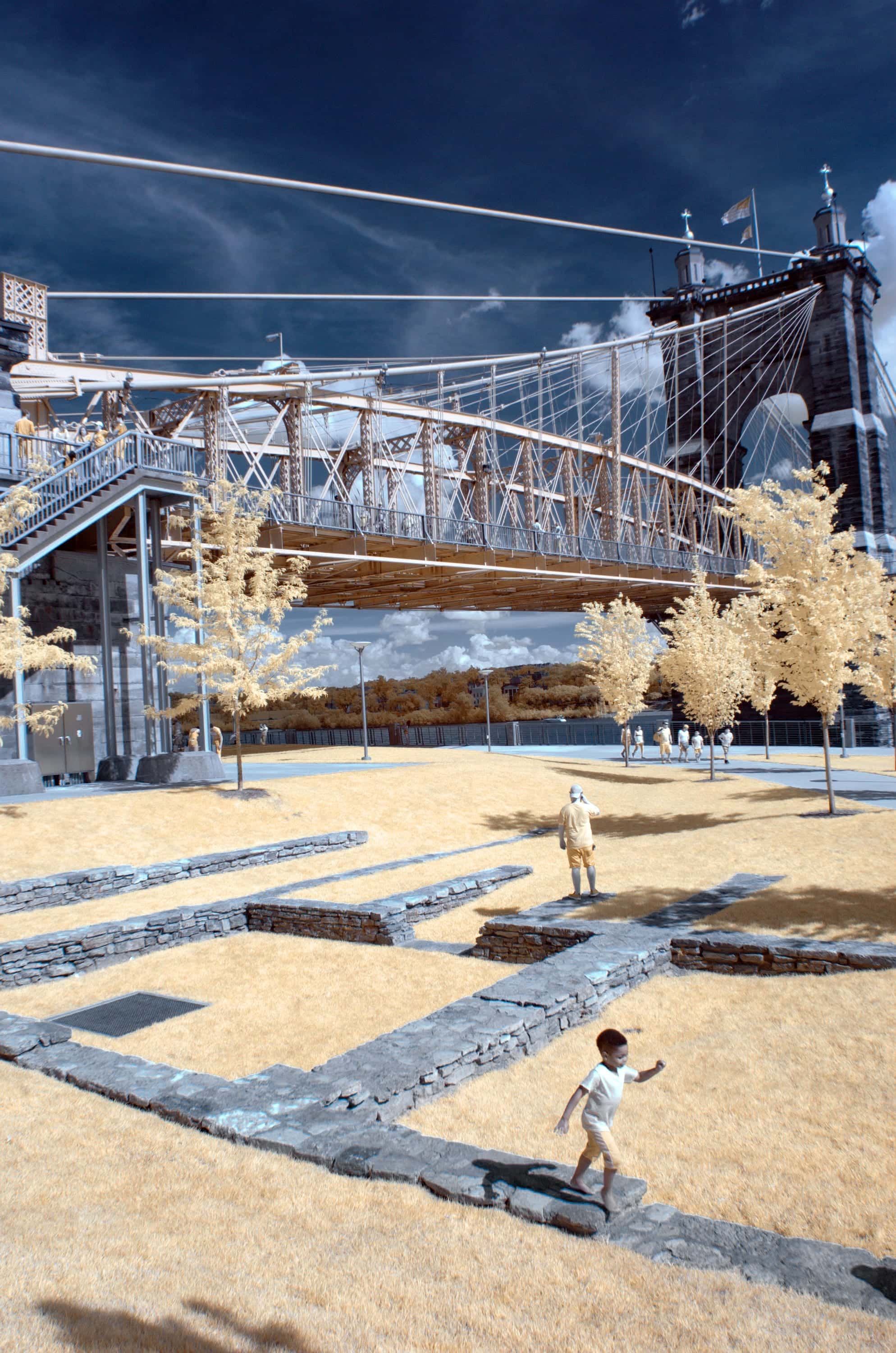 The Roebling bridge from the riverfront, a boy walking a low stone wall across gold grass