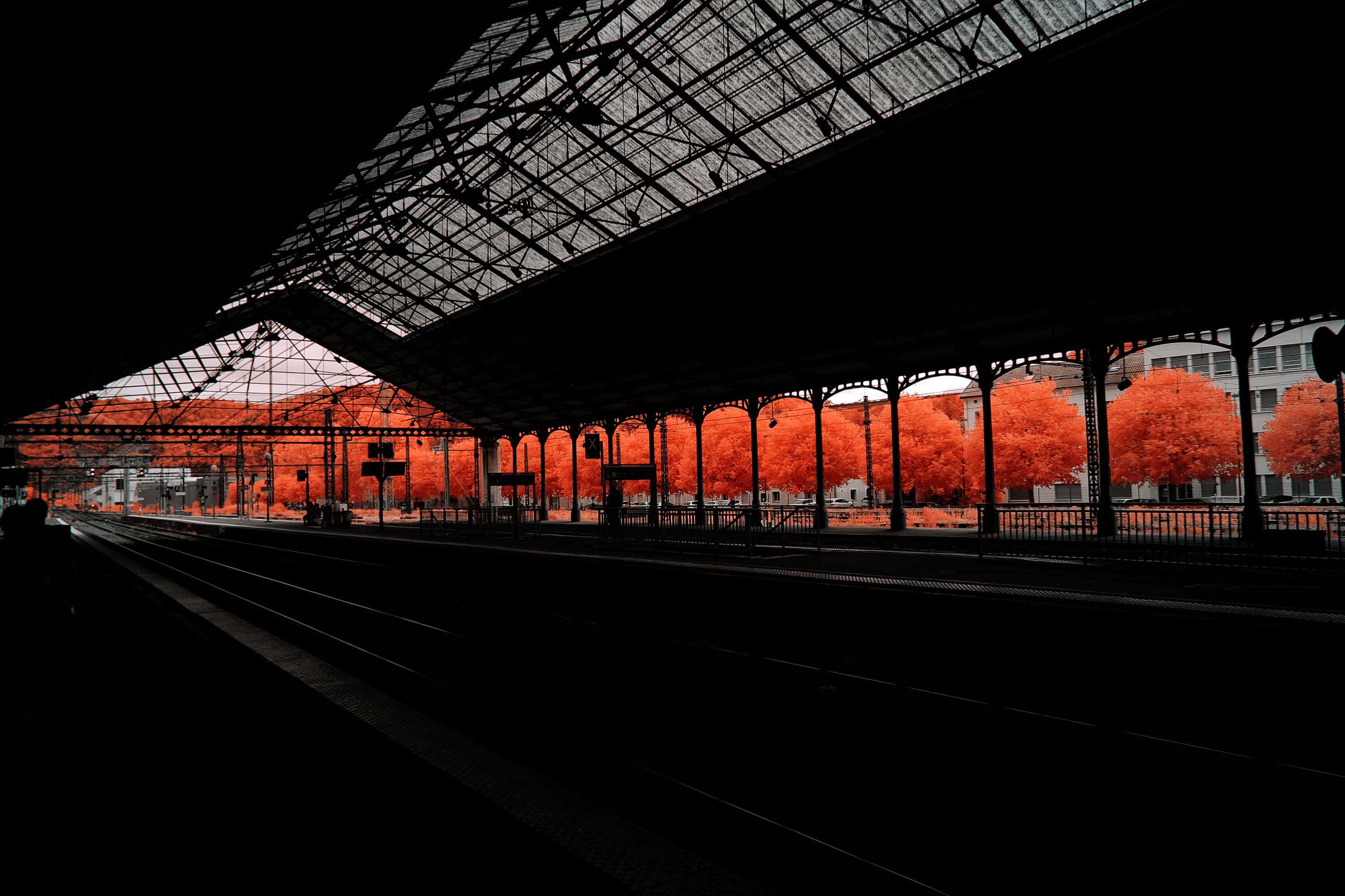 The platform and iron-and-glass canopy of a railway station in France, looking out to trees beyond the tracks, photographed in near-infrared light.