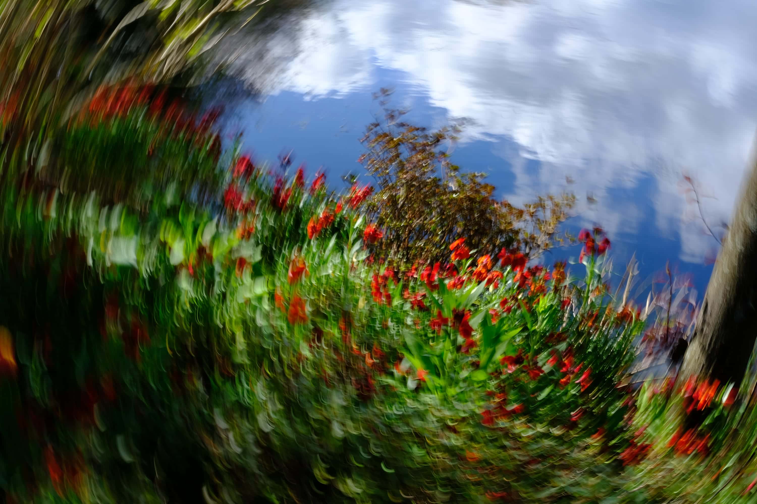 Red flowers and green foliage swept into a spiral, sky and cloud turning at the centre