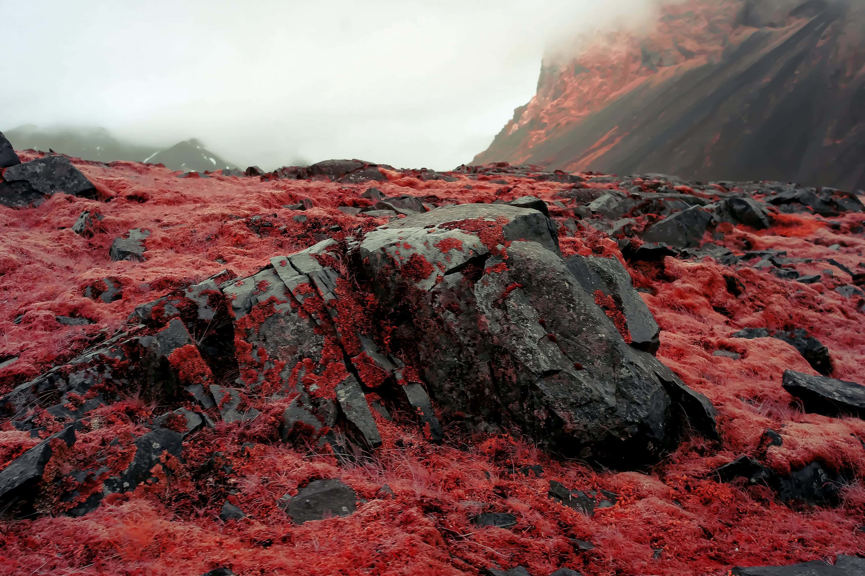 A cracked boulder sitting in a carpet of low moss and grass, with a steep dark peak in cloud behind, photographed in near-infrared light.