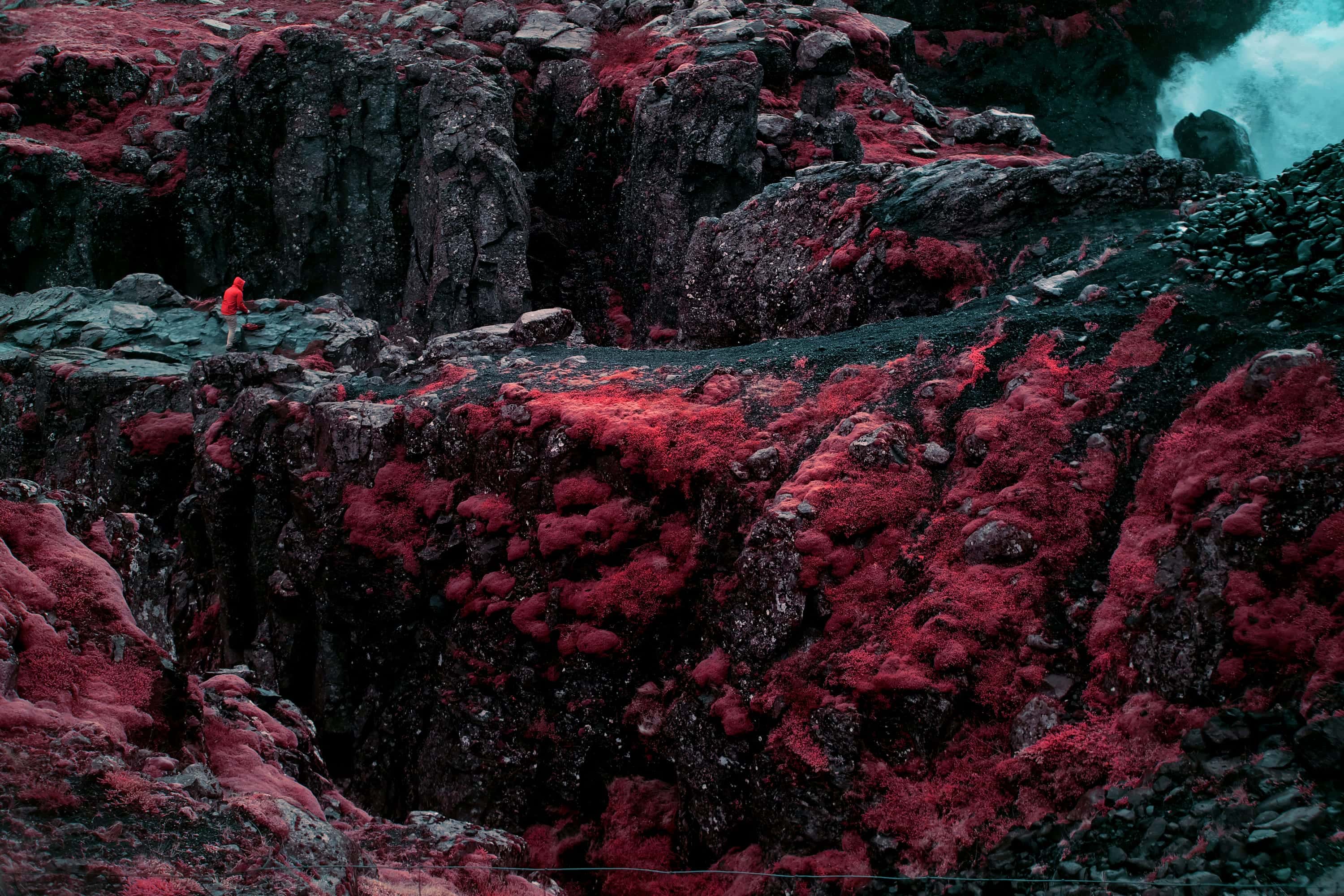 A person in a red jacket standing on a ledge above a mossed lava gorge, with a waterfall breaking into the rock at the top right, photographed in near-infrared light.