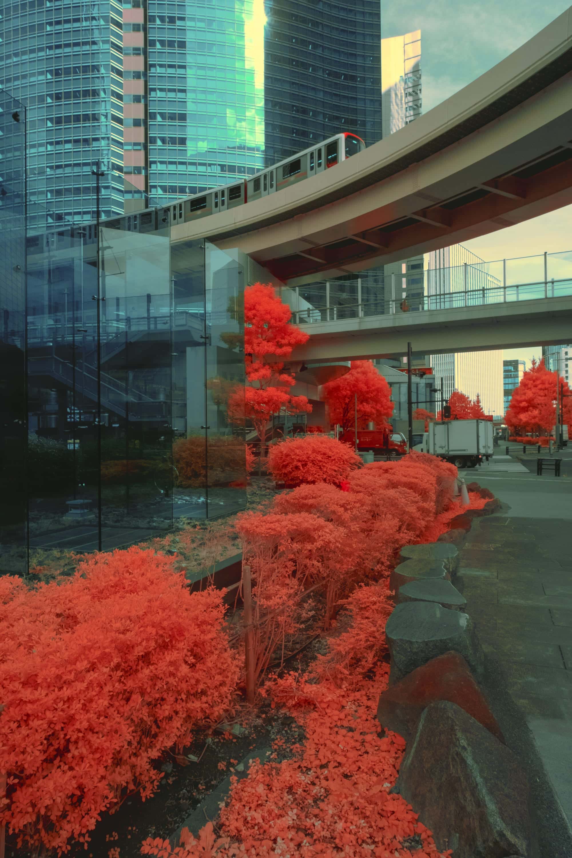 A monorail curving above glass office towers in Tokyo, the street planting below burning scarlet