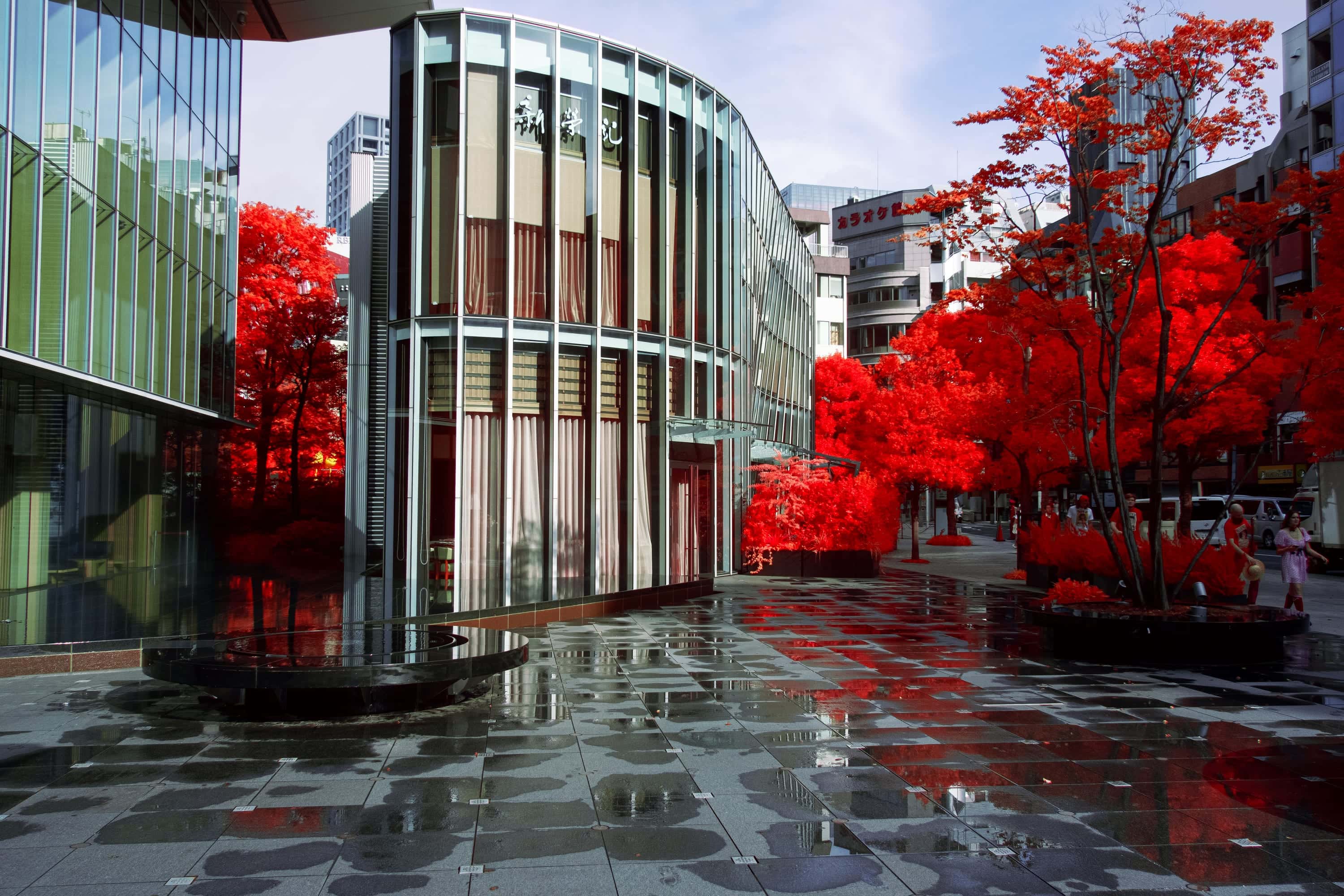 Maple trees on a wet stone plaza beside a curved glass building on a Japanese city street, photographed in near-infrared light.