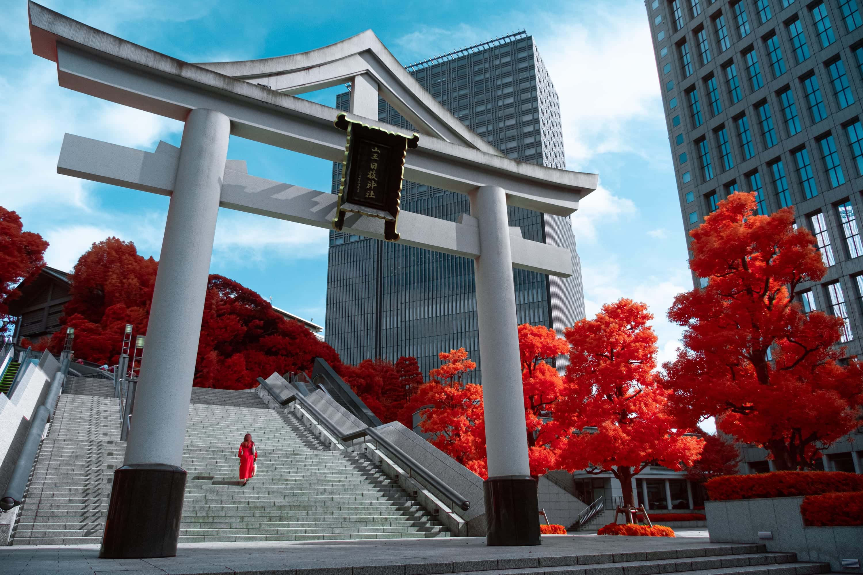 The stone torii of Hie Shrine framed against office towers, one figure in red climbing the steps