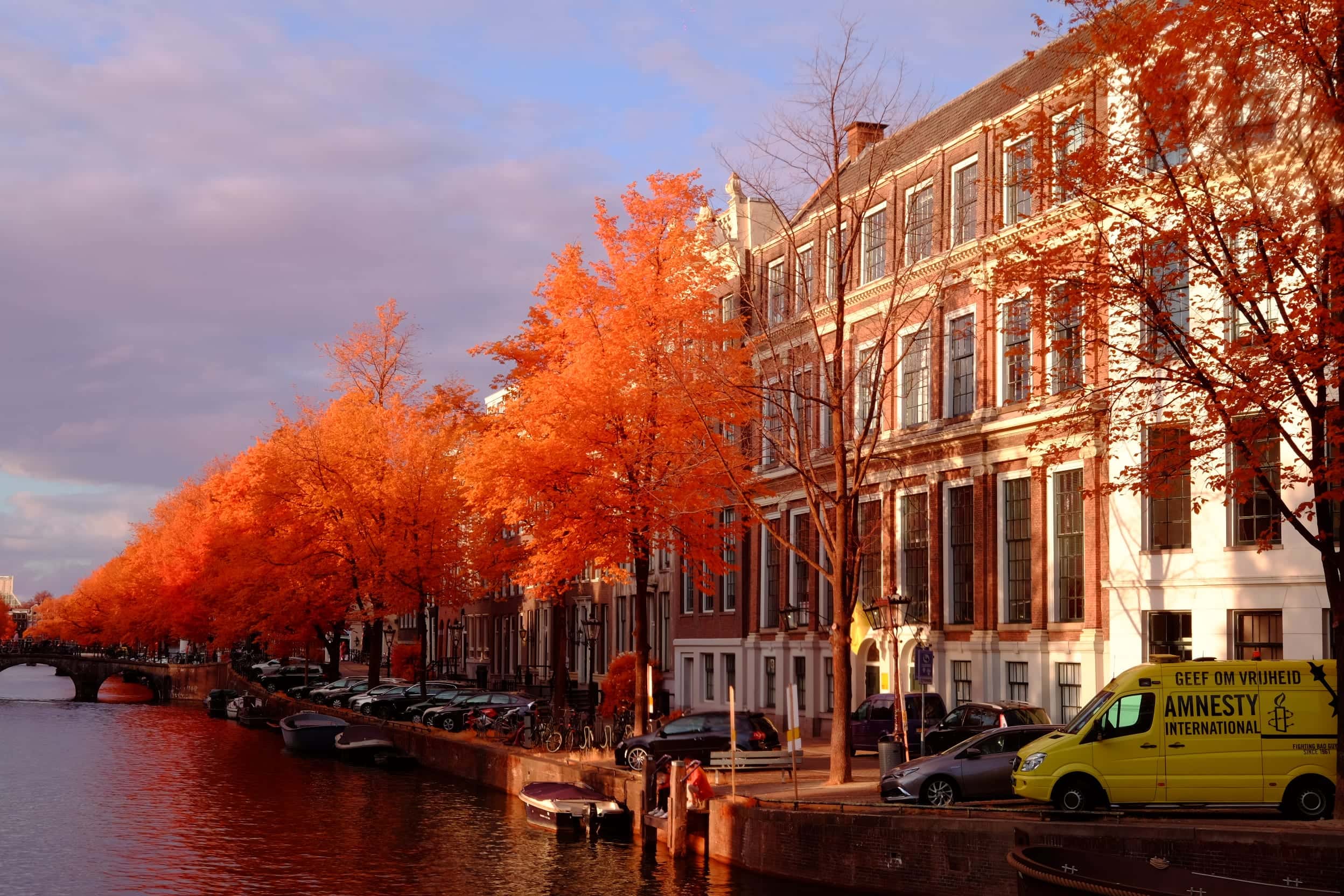 A tree-lined Amsterdam canal in low sun, with parked cars, moored boats and an Amnesty International van along the quay, photographed in near-infrared light.
